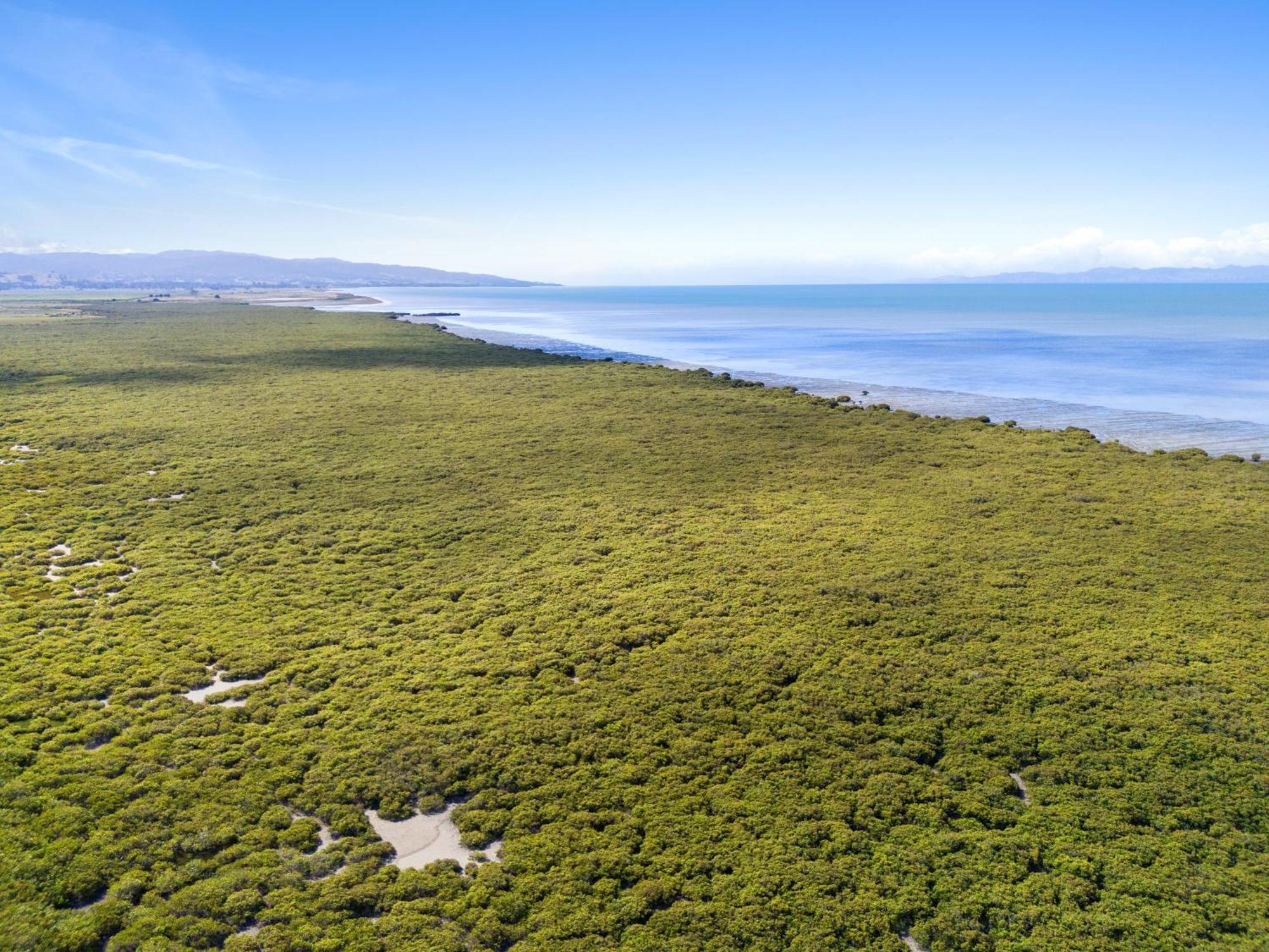 Tasman Holiday Parks - Miranda Εξωτερικό φωτογραφία
